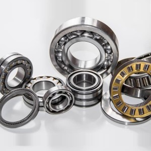 Bearing & Seals